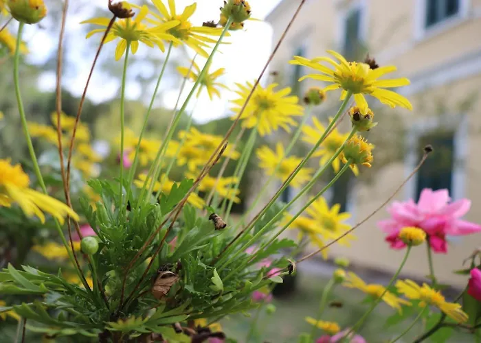 Teresa アパート ポルト・アッズッロ