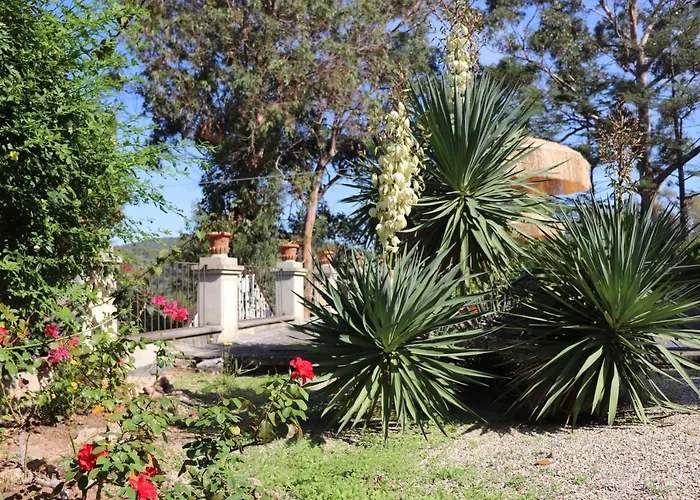 アパート Teresa ポルト・アッズッロ