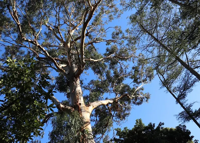 アパート Teresa *