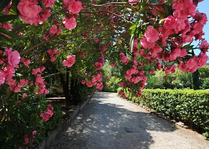 Teresa Апартаменты *