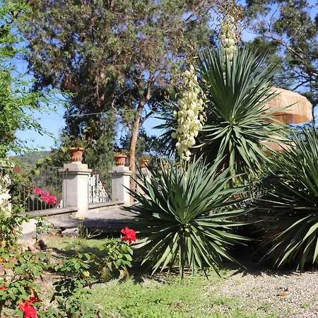 Apartamento Teresa Porto Azzurro