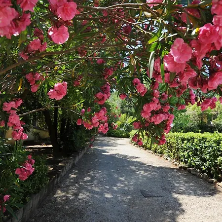 Teresa Apartamento *