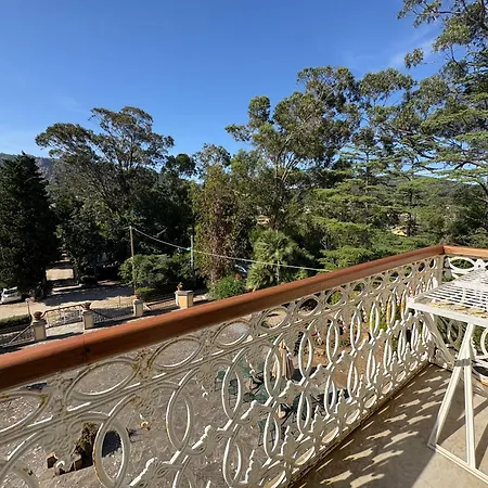 Teresa Apartamento *